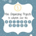 5 mini-organizing projects to complete over the holiday break @ refinedroomsllc.com