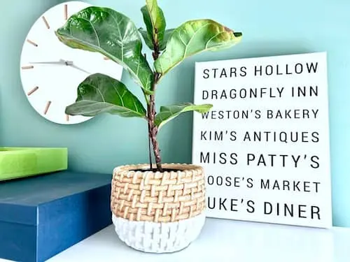 desktop with plant and Gilmore Girls canvas.