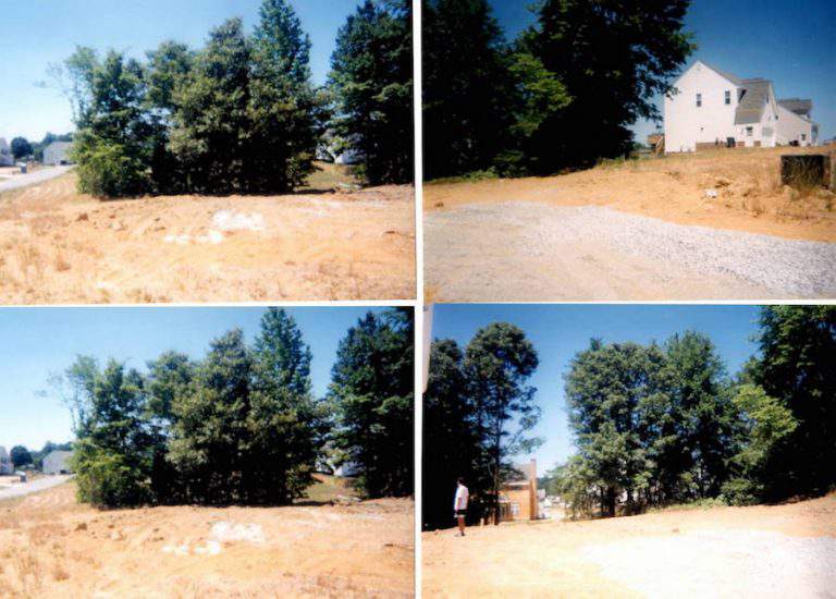 Purging Photo Purging Photos: What to Toss During Your Photo Decluttering Session