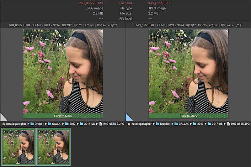 Digital Photo Duplicates {Digital Photo Organizing Challenge Week 6}