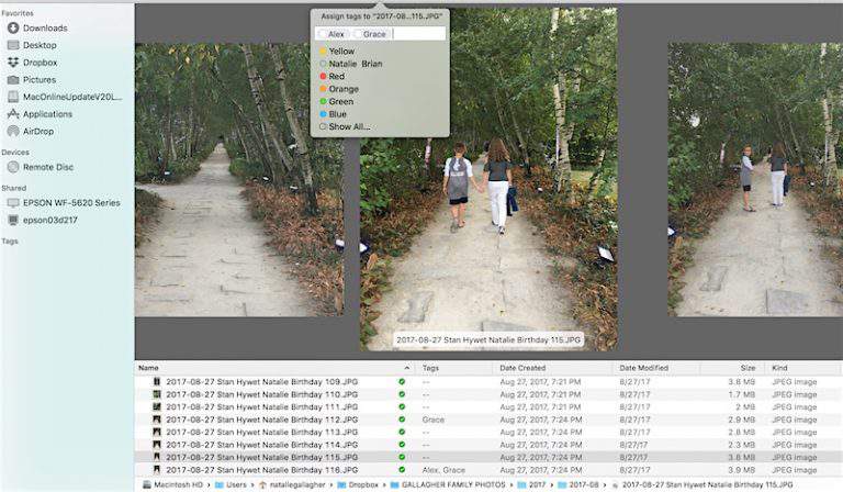 Follow along in the 10-week Digital Photo Organizing Challenge! In week 8, we cover the topic of rating & tagging digital photos | #digitalphotos #photoorganizing
