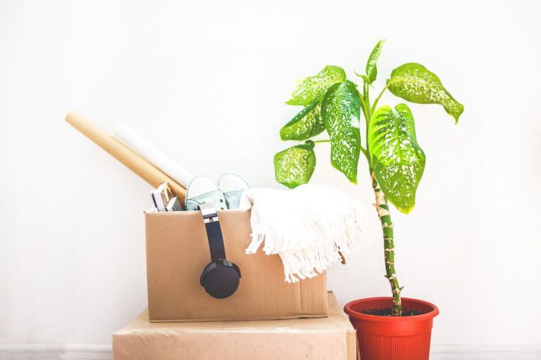 Wondering what to do with all that stuff that didn't sell at your garage sale? I'm sharing some great online resources for garage sale donations that you'll definitely want to check out!