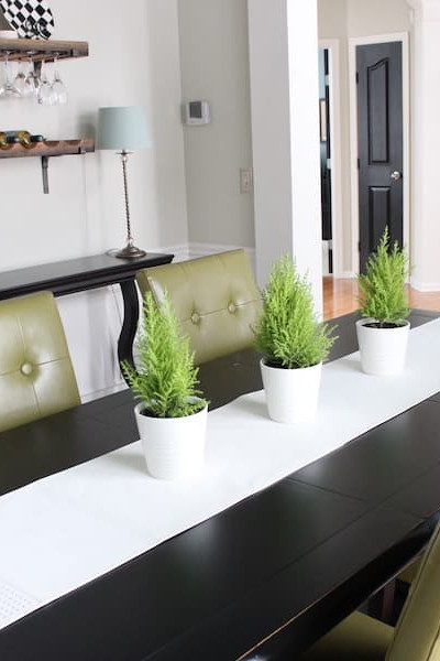 example of using live plants to decorate staged dining room