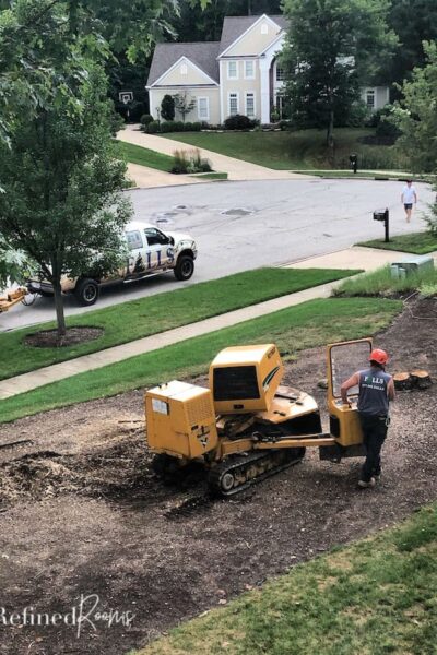 man grinding stumps as part of a large landscaping project.